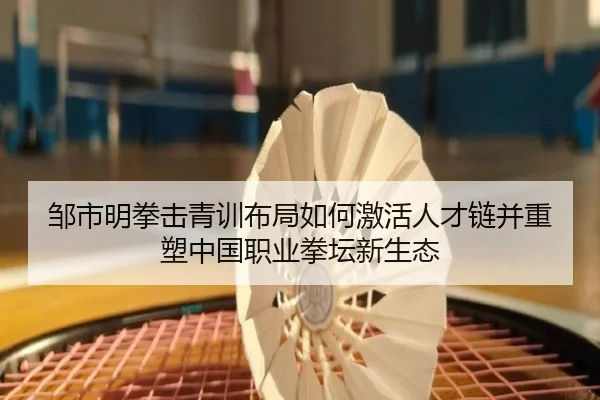 邹市明拳击青训布局如何激活人才链并重塑中国职业拳坛新生态